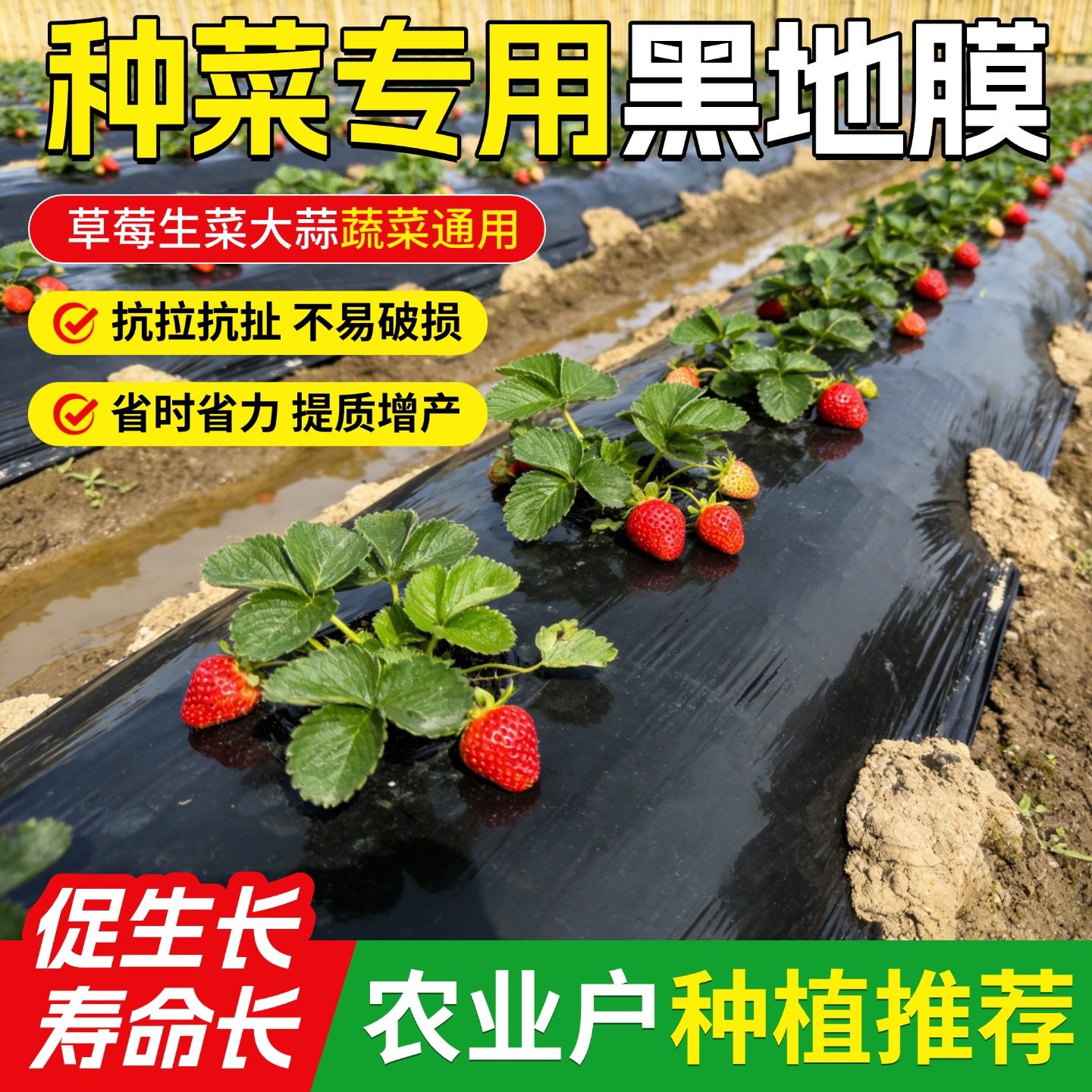 地膜种菜专用黑色加厚农用种植塑料薄膜一次性黑膜新型盖菜防草布,农机/农具/农膜,农用薄膜,淘宝优惠券,粉丝福利购,淘宝优惠卷