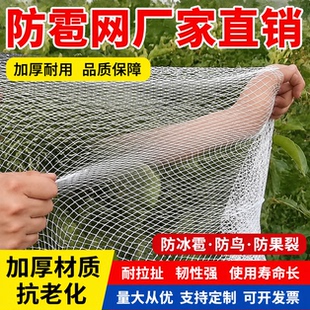 防雹网果园防鸟网葡萄网农用防护网果树防冰雹网神器果园葡萄树