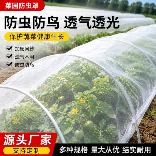 防虫网种菜专用抗老化100目防虫网大棚纱网果树防蚊网罩防蚊虫网