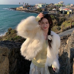 2024秋冬新款 宽松环保狐狸毛皮草毛毛外套 仿水貂毛皮草外套女短款