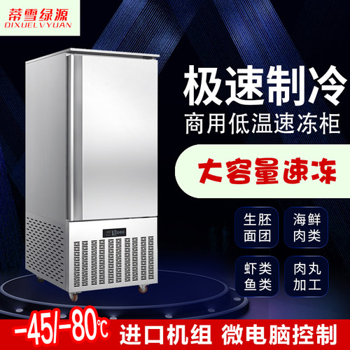 商用海参冷冻柜慕斯急冻柜面团饺子包子速冻柜急冻肉丸速冻冰箱