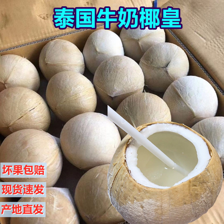 泰国香椰皇青进口原箱9个特大果椰子椰皇新鲜椰汁当季孕妇水果