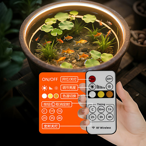 全光谱低压5Vusb三色灯带