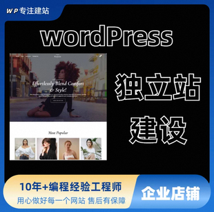 独立站建站海外商城跨境wordpress建站跳转网站搭建WP外贸多语言