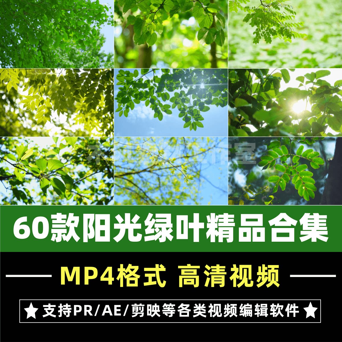 阳光穿透树叶治愈情感4k视频素材绿色小清新自然美景森林背景短片