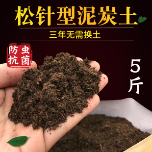 泥炭土松针纯泥炭土育苗种植土多肉植物营养土进口泥炭土品质 包邮