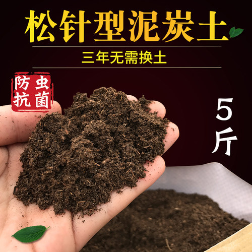 松针发酵高营养壕沐森松针泥炭土