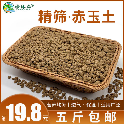 ドラマ祝うコンピューター赤玉土小粒500g Gutergeist Net