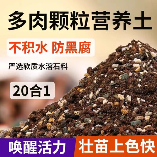 多肉颗粒透气老桩专用土