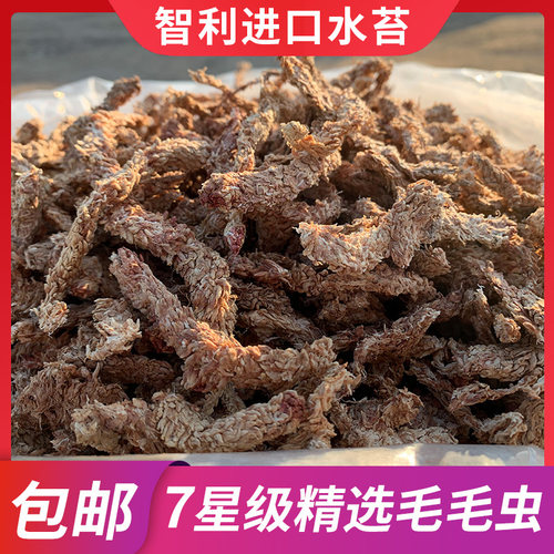 智利水苔无菌进口干苔藓食虫植物蝴蝶兰营养土兰花无土栽培专用土 - 封面