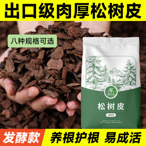 新西兰同款发酵松树皮厚肉质兰花