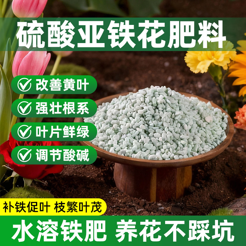 硫酸亚铁补铁肥料栀子花卉植物盆栽通用型氮磷钾肥颗粒养花水溶液,鲜花速递/花卉仿真/绿植园艺,家庭园艺肥料,淘宝优惠券,粉丝福利购,淘宝优惠卷