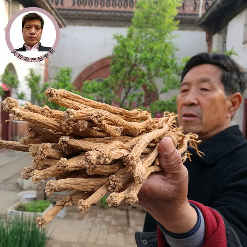 进入了解神奇的山西上党潞党参