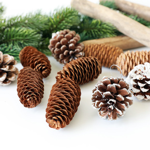 圣诞松果挂件圣诞树装饰用品品 6cm8cm12cm东北松果本地长鱼鳞松
