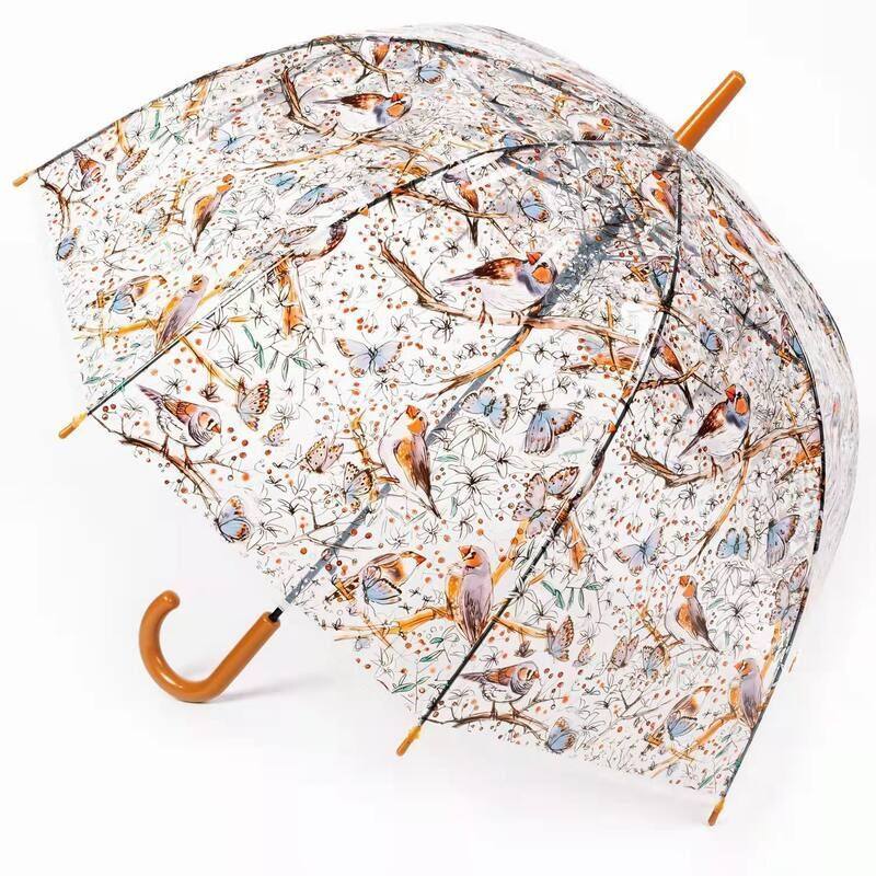 蝴蝶INS半拱型欧州透明雨伞女生宫廷风伞可爱自动伞少女成人伞,婴童用品,儿童雨伞/防晒伞,淘宝优惠券,粉丝福利购,淘宝优惠卷