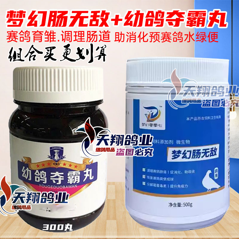 戈博士调理赛鸽子肠道幼鸽育雏