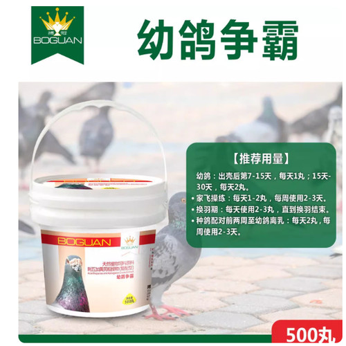 搏冠幼鸽争霸磷钙精华丸信鸽用品赛鸽幼鸽宝育雏宝育雏丸鸽鸟