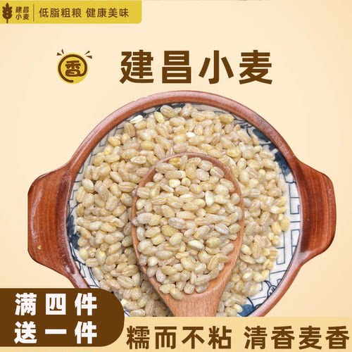 东北小麦米粗粮颗粒饱满熬粥煮饭