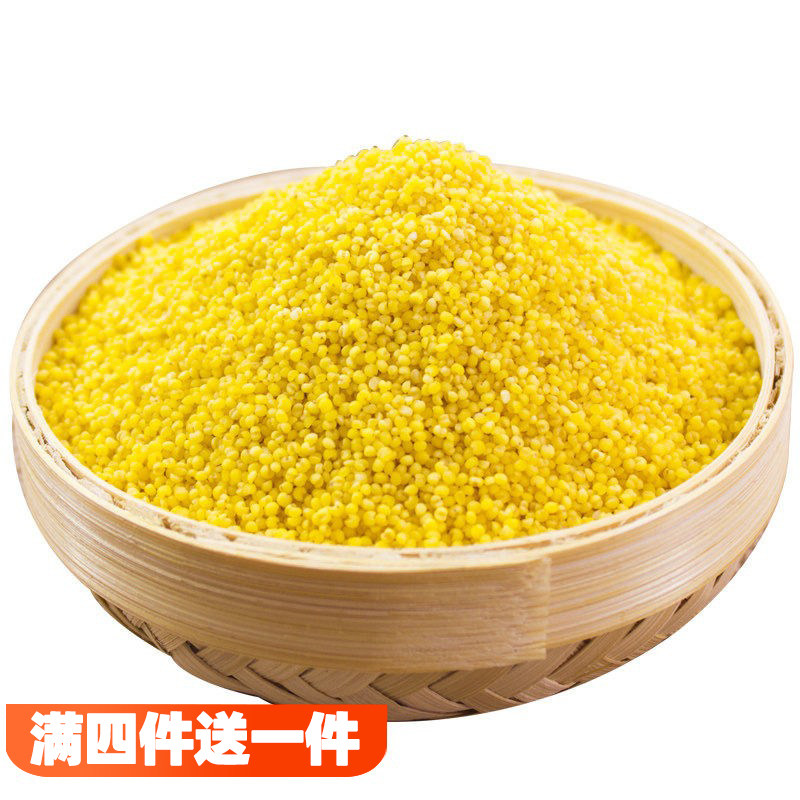 小米五谷杂粮新小米粥主食月子米