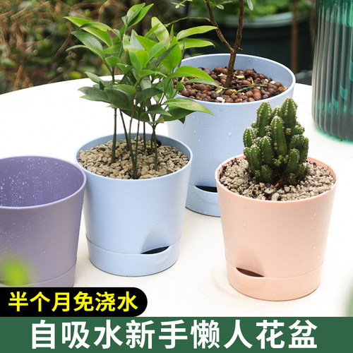 懒人花盆自动吸水花盆免浇水桌面