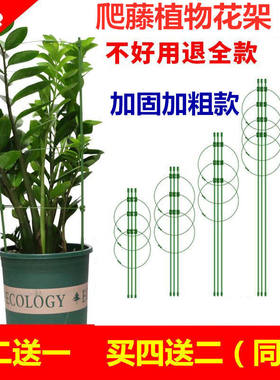 爬藤花架子花支架月季花卉植物