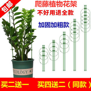 爬藤花架子花支架月季 室内花卉植物支撑杆绿萝铁线莲蟹爪兰攀爬架