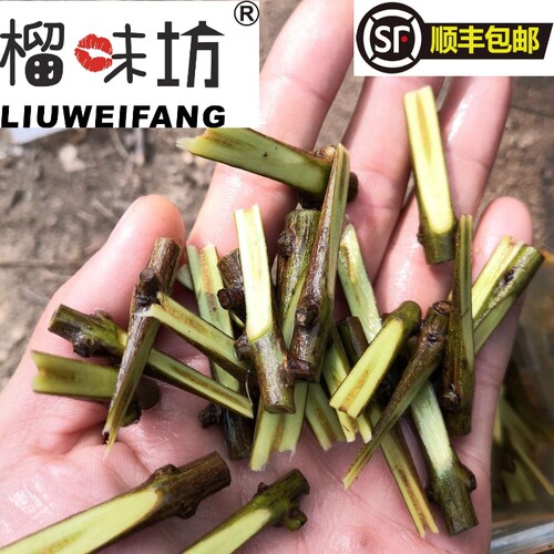 彰冠慕乐软籽石榴嫁接穗