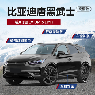 饰外饰改装 比亚迪唐dmi黑武士中网饰条前车标贴机盖装 配件 23款