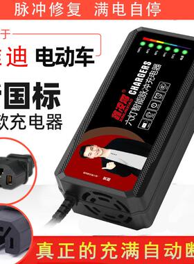 适用雅迪电动车电瓶充电器48V12AH60V20AH72V30AH36V40A50A Y字头