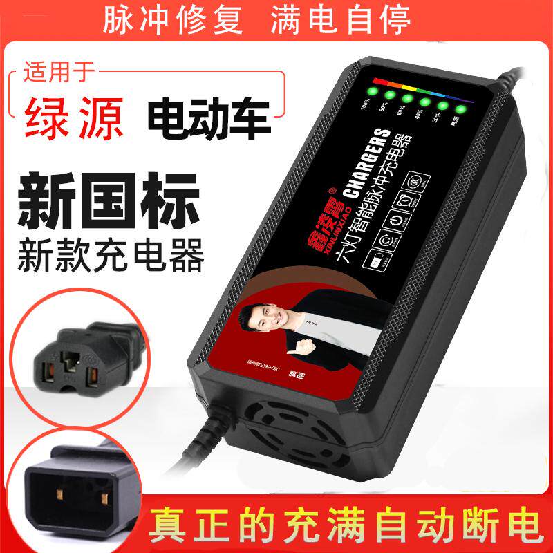 适用绿源电动车电瓶充电器48V60V72V80V84V96V20AH爱玛电车两孔