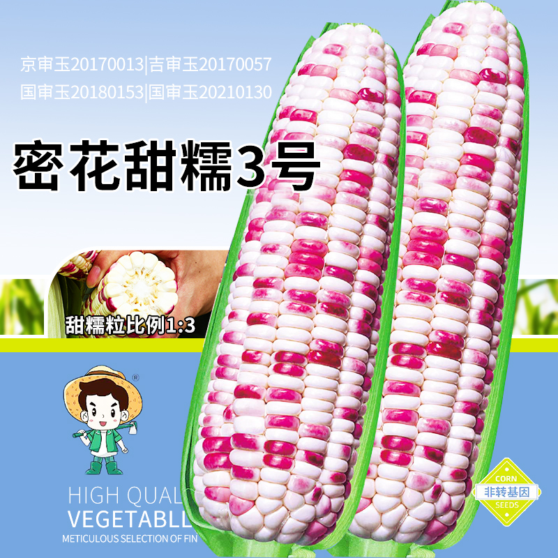 密花甜糯3号特高产糯米玉米种子彩甜糯优质糯玉米种籽官方旗舰店