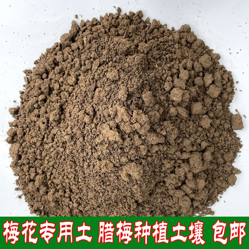 腊梅种植土透气盆栽沙壤土黄土花