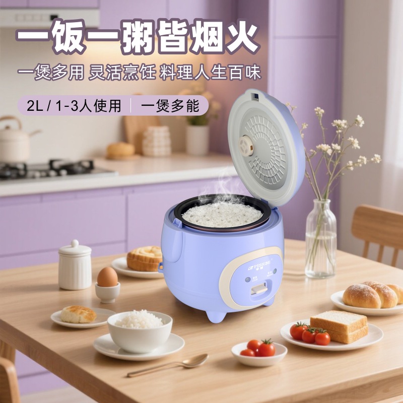 蒸煮饭煲汤多功能电饭锅1-3人