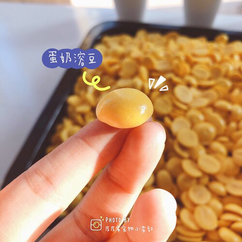 皮皮家 蛋奶溶豆自制零食猫犬通用幼犬羊奶粉狗小馒头宠物食品80g