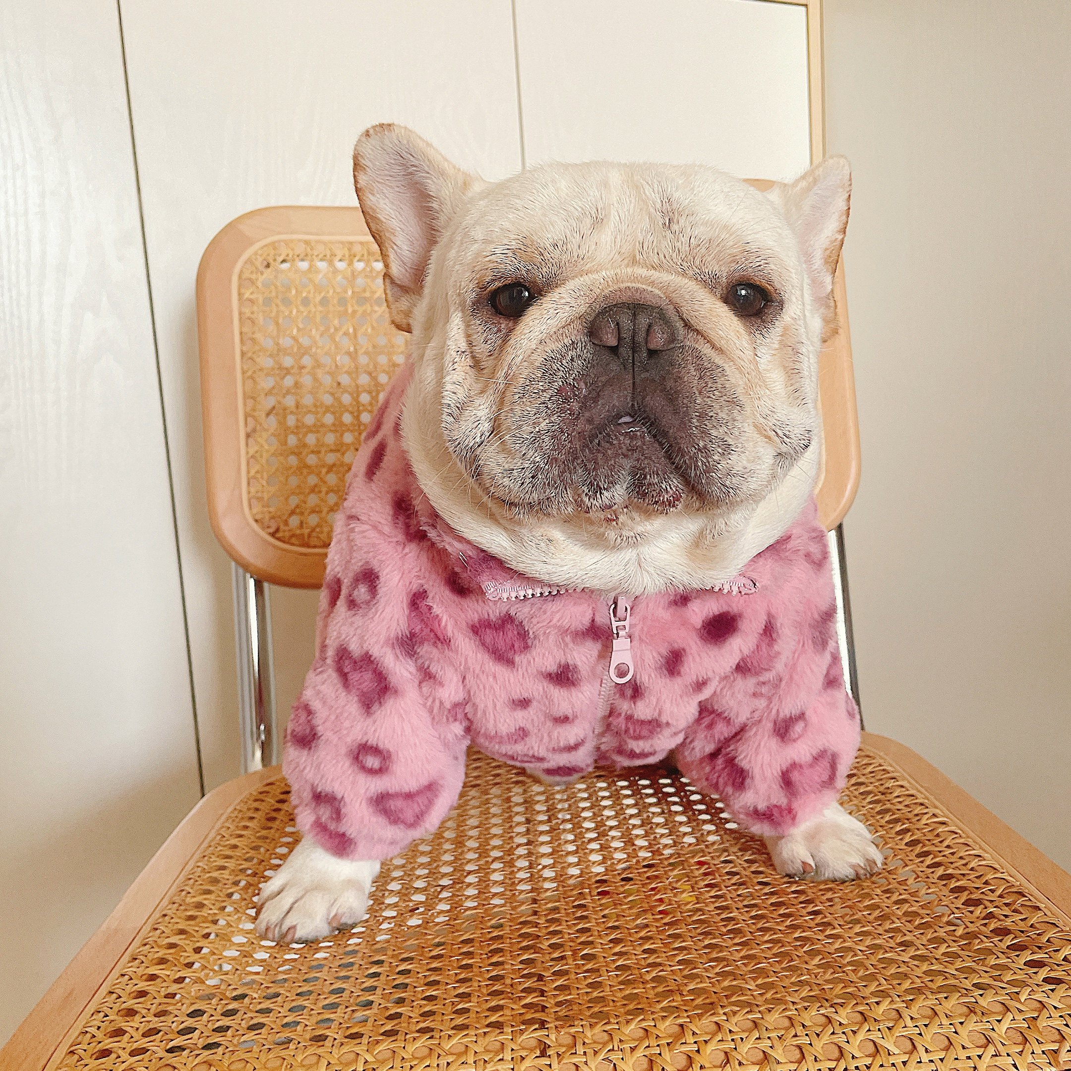 皮皮家粉红豹外套狗狗衣服秋冬保暖豹纹皮草法斗雪纳瑞泰迪宠物衣