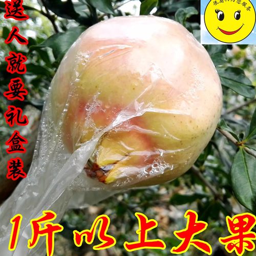 特大云南蒙自甜石榴新鲜水果包邮