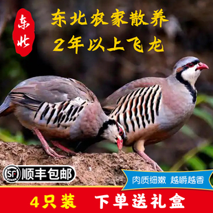 农家散养鹧鸪鸟新鲜现杀石鸡飞龙鸟嘎嘎鸡肉煲汤4只2斤礼盒包邮