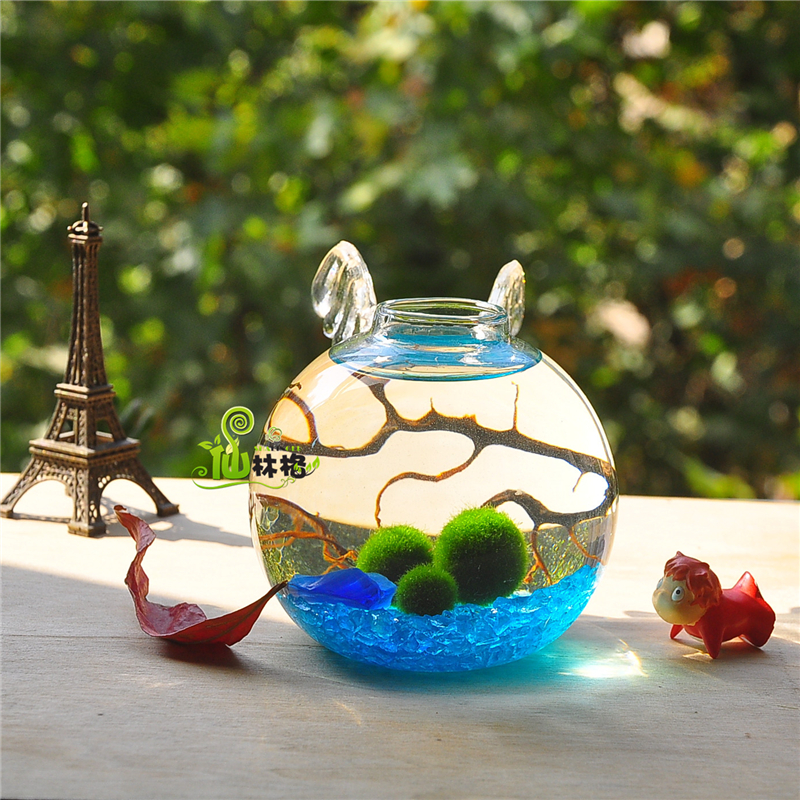 仙林格炸毛藻球marimo幸福海藻球微景观生态球 你是我的天使