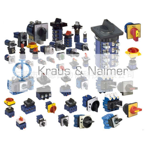 KG20B T206/PC2316E Kraus & Naimer Switch 开关