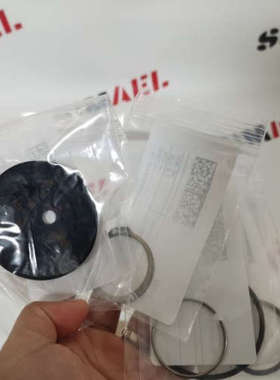 Pompe Garbarino机械密封4200JB65M5021BVPG