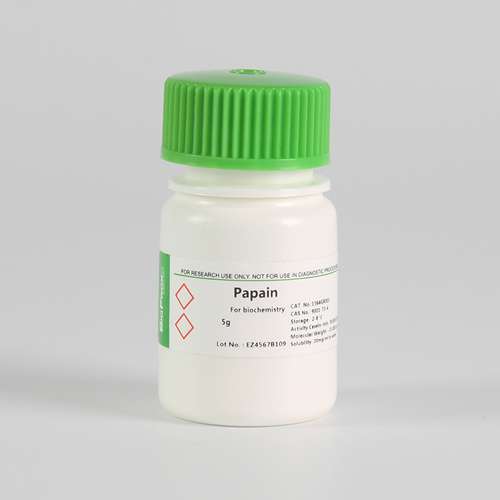 BioFroxx 1364GR005 木瓜蛋白酶Papain 木瓜酶 9001-73-4 5g/瓶