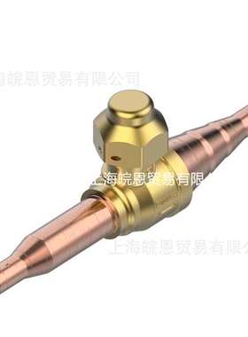 CBV12S CBV16S丹佛斯032B4004 032B4005 032B4006 032B4007球阀