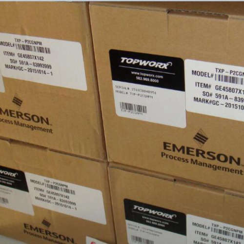 TXP-R2GFN Topworx TVG-P2GFN限位开关 市场比例