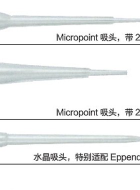 thermo QSP 200ul收尖吸头 无酶无热原吸头黄色 96/盒 T090RLS-Q