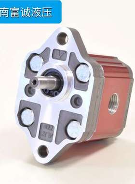 VIVIVO内泄式齿轮泵X0R0910BZZF意大利原装维沃双向齿轮泵小排量