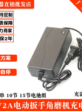 21V2A充电器5串18650锂电组电动扳手角磨机工具锂电钻手枪钻20V1A