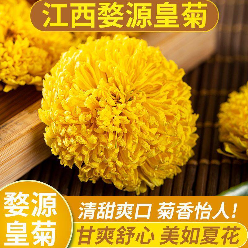新花上市特级婺源皇菊一级菊花茶四季花茶一朵一杯当季婺源皇菊茶