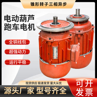 ZDY/ZD0.8KW电动葫芦跑车电机 起重电机 行车端梁行走/运行电机