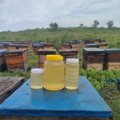荆条蜜农家自产自销纯正自然成熟原蜜2025年新蜜