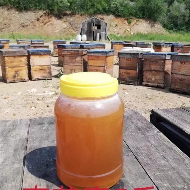 山枣花蜂蜜农家自产纯正原成熟蜂蜜食用2025年新蜜42度